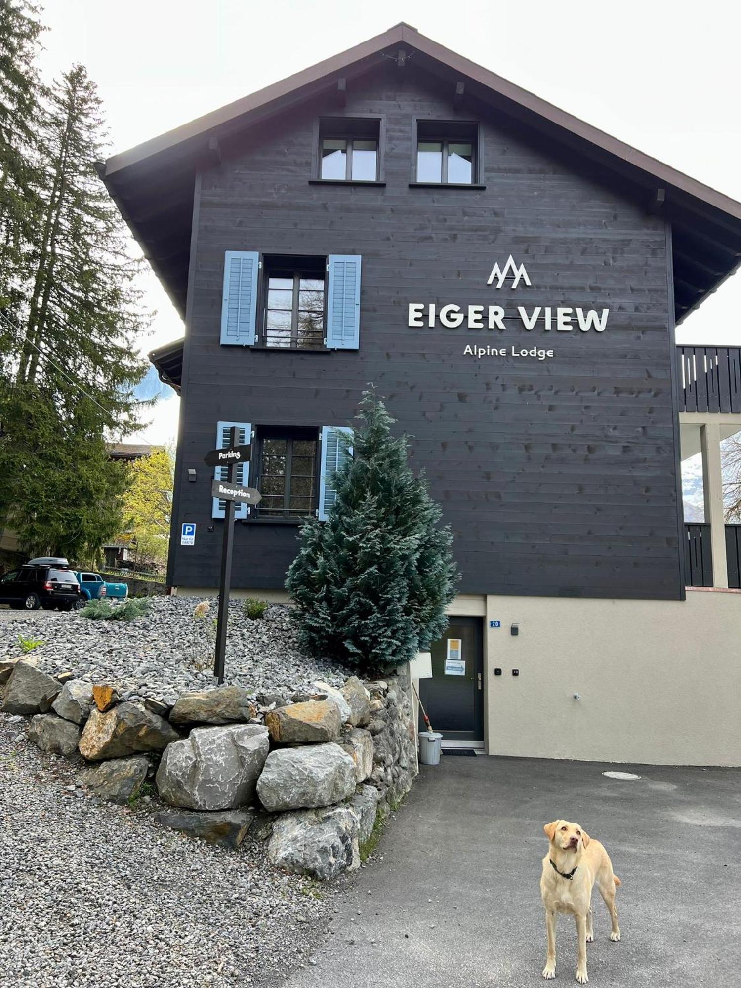 Eiger View Alpine Lodge Grindelwald Exteriér fotografie