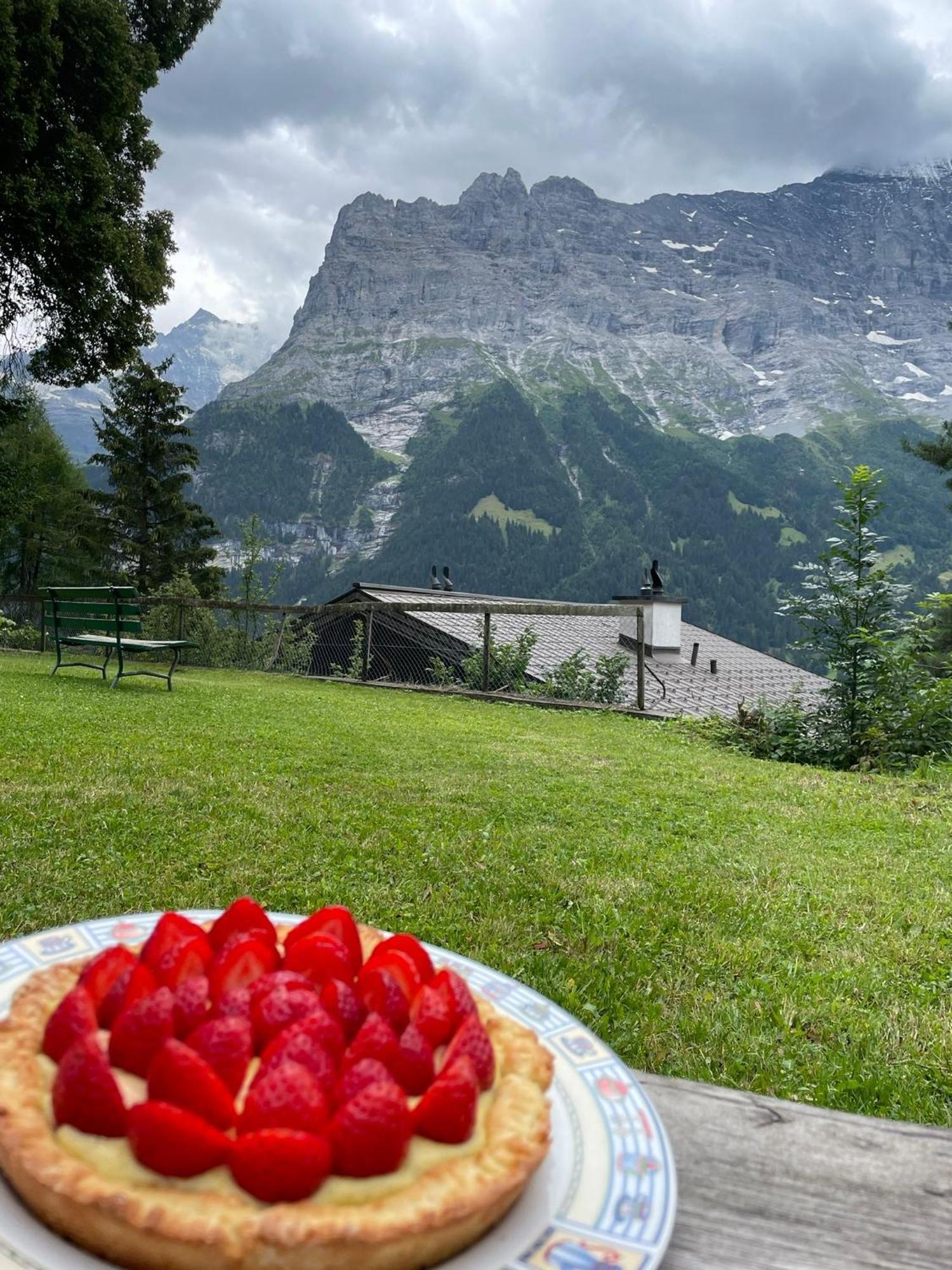 Eiger View Alpine Lodge Grindelwald Exteriér fotografie
